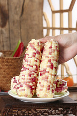 Colorful Heritage Corn Cobs with Red Yellow Kernels Hand Held in Rustic Kitchen Setting