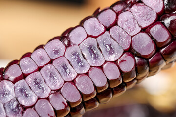 Purple Black Glutinous Corn Cob from Xishuangbanna Yunnan China Close-up Macro Shot
