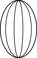 vector illustration of a Cantaloupe fruit 