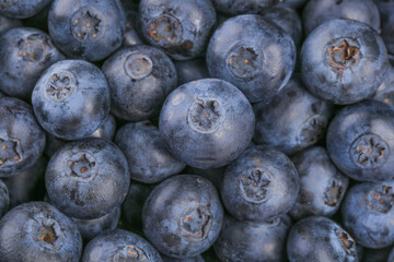 Fresh Yunnan Blueberries Close-Up - Healthy Organic Berry Fruit Background