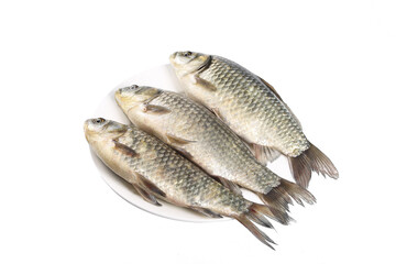 Raw Carp Fish on White Plate Isolated on White Background