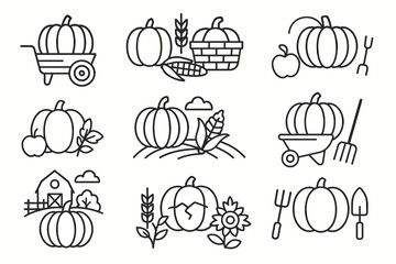 Pumpkin harvest icons: autumn gardening and farming symbols in line art style