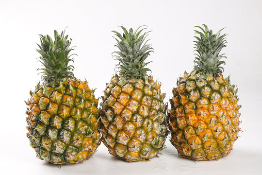 Fresh Pineapples from Zhanjiang Xuwen China - Tropical Fruit Still Life on White Background