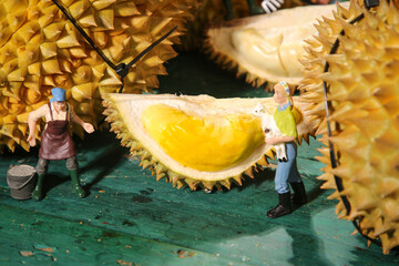 Fresh Golden Durian Fruit Showcase with Miniature Figurines and Spiky Shell