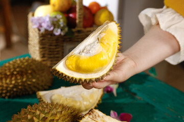 Fresh Golden Durian Fruit Slice with Creamy Pulp in Hand - Exotic Tropical Asian Fruit