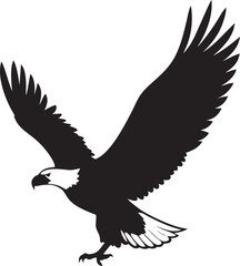 eagle on white background