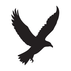 eagle on white background