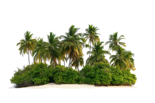 Tropical island with lush trees and sandy beach under bright summer sky invites relaxation and adventures in a serene paradise - Powered by Adobe