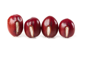 Red kidney beans cut in half showing seeds arranged on white background studio shot