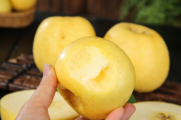 Fresh Fuji Apples from Yantai - Golden Yellow Fruit with Creamy White Flesh in Hands Display