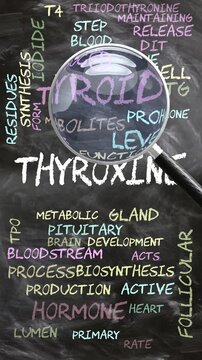 Thyroxine being studied, examined - under close inspection. Most important subjects and ideas closely related to thyroxine written on a blackboard inspected by a magnifying glass. Can be looped