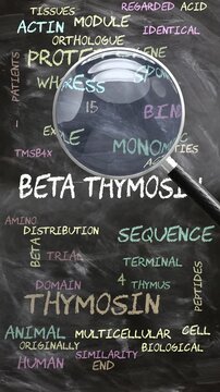Beta Thymosin being studied, examined - under close inspection. Most important subjects and ideas closely related to beta thymosin. Can be looped