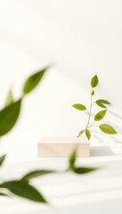 Minimalist Scene with Light Beige Pedestal and Green Leaves against a Crisp White Backdrop