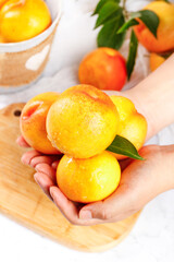Fresh Golden Nectarines Freshly Picked from Yimeng Mountain Held in Hands