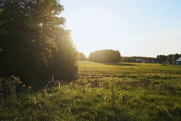 Fototapeta premium Plowed earth with visible furrows in countryside