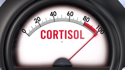 Cortisol meter that is hitting a full scale, increasing and high levels of cortisol, potential overload. Maximum cortisol value, off the charts.