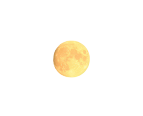 Full moon isolated on transparent background. Yellow planetary fullmoon cut out icon