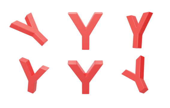English Letter Y Spelling language 3D
