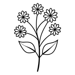 valeriana officinalis flower line art vector on white background