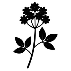 valeriana officinalis flower silhouette vector on white background