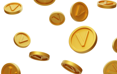 Exclusive VIP Member Event Gold Coin V Reward 3D