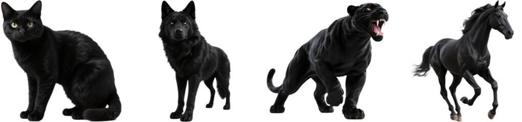 Obraz premium 動物 生き物 黒