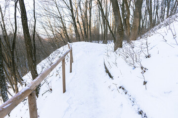 winter park nature scenic view of snowy white environment space bare branches of December time and lonely ordinary trail