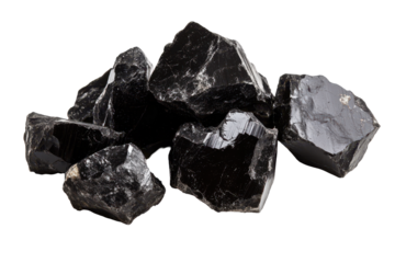 Black pieces of Mumiyo or Shuddha Shilajit displayed for examination in a natural light setting, showcasing their unique textures and surfaces for potential study and exploration