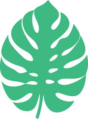 Monstera leaf
