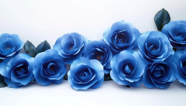 Close-up of a row of vibrant blue roses with dark green leaves on a white background creating a serene and elegant floral arrangement