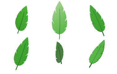 Green plants Fresh leaves Saplings Spring 3D