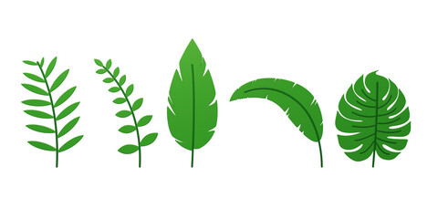 Green plants Fresh leaves Saplings Spring 3D