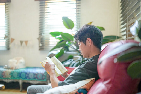 A young man is reading a book in a living room. The room has a potted plant and a bed