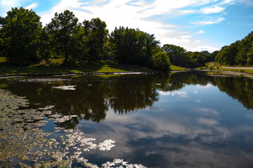 Pond with Tree and Cloud Reflections and Algae Foreground