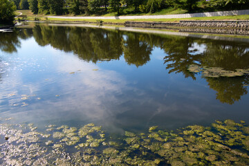 Pond with Distant Arched Bridge and Reflections