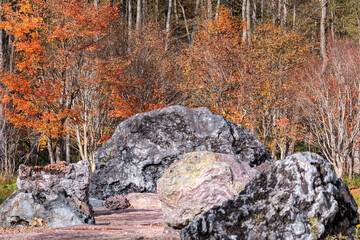 北海道平取町、エトンベア スマノンノ（石の花）の碑公園【11月】