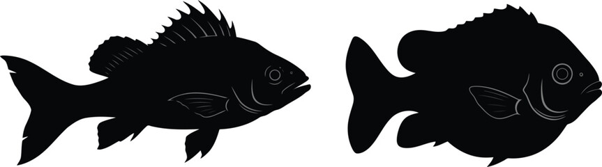 Two silhouette fish underwater ocean life aquatic animal seafood vector graphic vector
