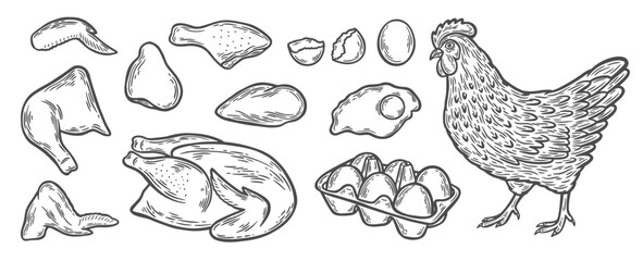 Set with chicken, chicken meat and eggs