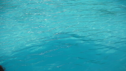 swimming pool water