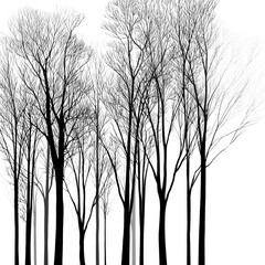 A row of trees with no leaves on them