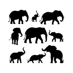 elephant silhouette illustration collection
