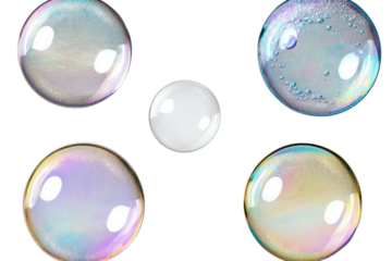 Collection of colorful soap bubbles isolated on a transparent background showcasing varying sizes and reflections in natural light