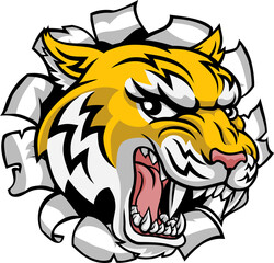 Wildcat Bobcat Bobcats Wildcats Sports Team Mascot