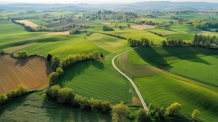 Obraz premium Aerial view of vibrant green and brown agricultural fields with winding dirt roads, bordered by trees under a bright sky in a serene rural landscape