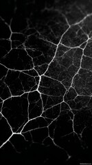 Black and white cracked surface texture, highresolution background image for design projects.