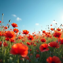 Naklejka premium Vibrant field of red poppies under a bright blue sky