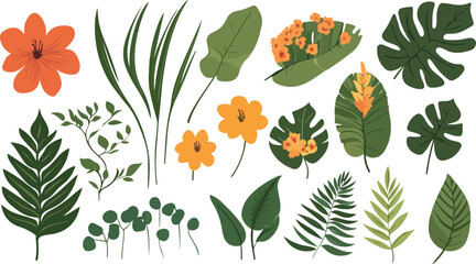 Collection of vibrant tropical leaves and flowers in a variety of shapes and sizes