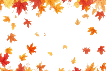 Bright autumn leaves in an array of colors showcasing seasonal beauty on a seamless transparent background ideal for creative projects