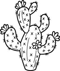 cactus vector illustration