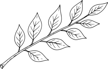 vector illustration of a branch with leaves